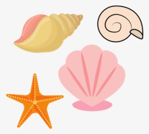 Sea Shells - 0shares - Vector Graphics #1040318