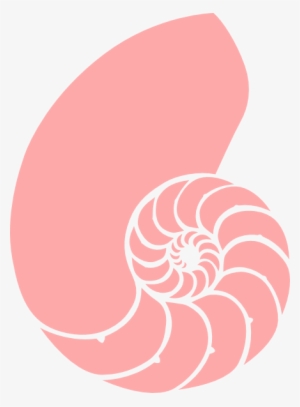 Pink Nautilus Clip Art At Clker Com - Spiral Shell Clip Art #1040343
