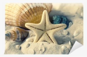 Wall Stickers Wall Decals Style Big Starfish Pvc Wall #1040400