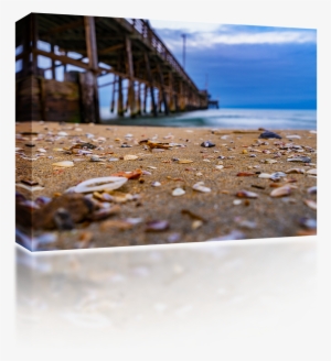 Sea Shells At Newport Pier - Sea #1040480