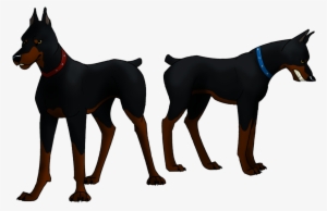 Roscoe And Desoto By Indybreeze On Deviantart Picture - Roscoe And Desoto Dog #1040572