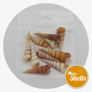 Art & Craft Pack - Art #1040617