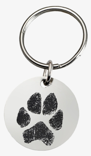Pet Print Jewelry: Stainless Steel Oval Tag Paw Print #1040761