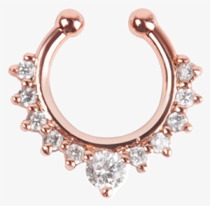 Svg Transparent Library Png For Free Download On Mbtskoudsalg - Nose Piercing Earrings #1040796