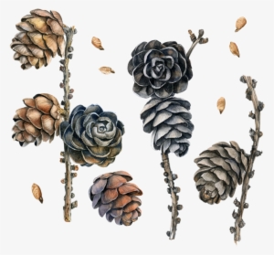 Фото, Автор ✿lili@ ✿ На Яндекс - Textile #1041157