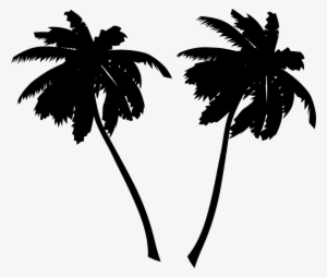 Palm Tree Vector Art Free - Palm Tree Black And White #1041886