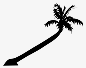 Palm Tree Clipart Png For Web #1041972