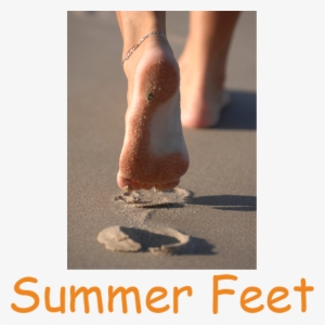 Those Lazy, Hazy, Crazy Days Of Summer Are Soon Approaching - Fall At Your Feet Again #1042110