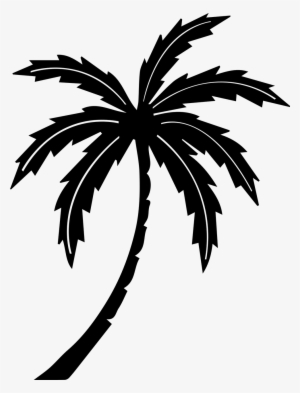 Free Stock Palm Tree Tropic Free Graphics Illustrations - Black And White Palm Tree #1042328