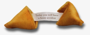 Funny Fortune Cookie With Message Inside - Fortune Cookie #1042407