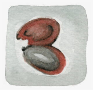 Burst Bean - Bean #1042479