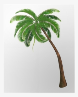 Background With A Palm Tree - Palm Trees #1042615