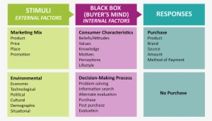 Stimuli, External Factors - Cpr #1043032