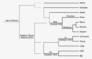 Solid Lines Indicate Well Attested Relationships, Dashed - Khoisan Languages #1043653