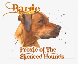 Barge Savage - Dog Art, Dogs, Rhodesian Ridgeback, Dog Painting, ... #1043900