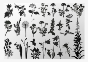 Collection Of Wild Flowers Silhouettes Poster • Pixers® - Indigoblu A5 Rubber Mounted Stamp - Victorian Garden #1044610
