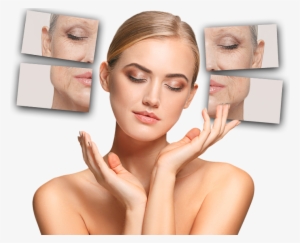 Wrinkles & Lines - Ageing #1044733