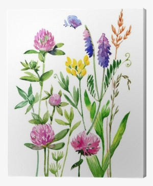 Watercolor Wildflowers And Grasses Canvas Print • Pixers® - Poszewka Na Poduszkę Vanila Lila, 50x70 Cm #1045495