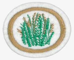 Grasses Honor - Thumbnail #1045613