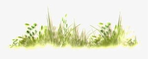 Wild Grass Thick Transparent - Portable Network Graphics #1045747