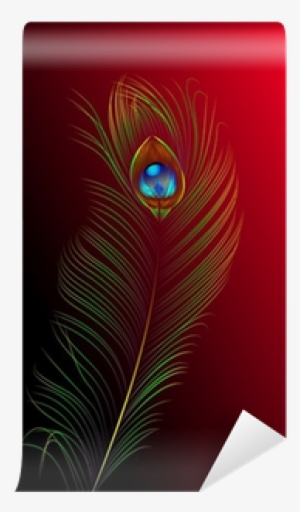 Peacock Feather Vector Background Wall Mural • Pixers® - Graphic Design #1046100
