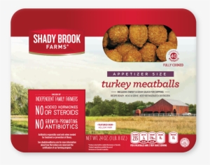 Shady Brook Farms Fresh 85% Lean Ground Turkey (1 Lb) #1047550