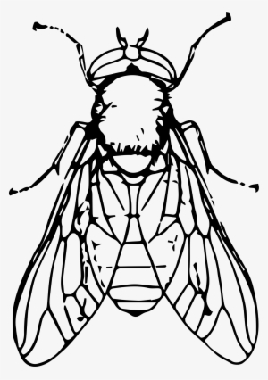 Black Horse Fly Png File - Fly Black And White Clip Art #1047714
