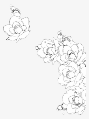 15 Manga Flowers Png For Free On Mbtskoudsalg - Manga Flowers Black And White #1047920
