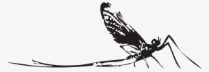 Caddis Fly Entomology Pt - Drawing #1048063