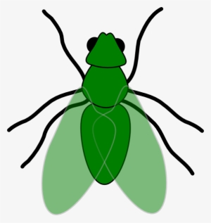 How To Set Use Green Fly Green For Web Clipart #1048401