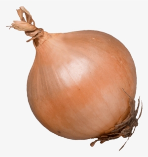 ½ Unit - Yellow Onion #1048555