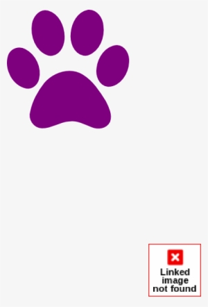 Useful - Dog Paw Print Png #1049147