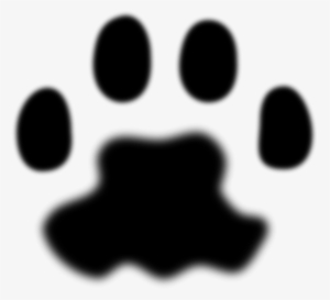 Paw #1049211