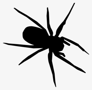 Tangle Web Spider Drawing Computer Icons Encapsulated - Clip Art #1049283