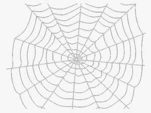 Spider Web Transparent Background PNG, Transparent Spider Web Transparent  Background PNG Image Free Download - PNGkey