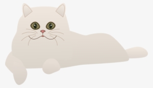 Whiskers Domestic Short-haired Cat Dog Canidae - Cat #1049568