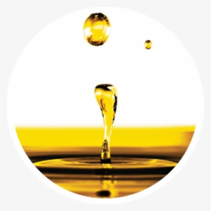 Oil Drop - Oil #1049705 Oil Drop - Oil #1049705