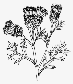 Computer Graphics Texture Mapping Computer Icons Uv - Portable Network Graphics #1049932