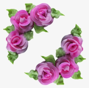 Smooth And Creamy Texture, Easy To Color - Garden Roses #1050209