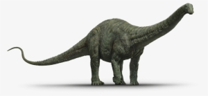 Velociraptor Transparent Vince Carter Freeuse Download - Jurassic World Fallen Kingdom Apatosaurus Png #1050417