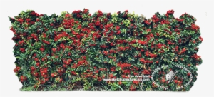 18709 Cut-out Autumnal Hedge Texture - Hedge #1050785