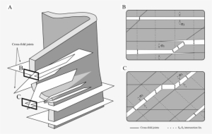 Schematic Figure Illustrating The Relationship Between - Diagram - Free ...