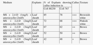 Observations On Callus Induction - Observation #1052527