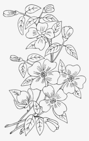 Free Hand Embroidery Patterns - Free Hand Embroidery Designs Patterns #1052677