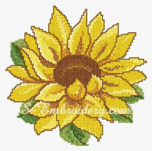 10067 Cross Stitch Sunflower Embroidery No1 - Sunflower Embroidery Design #1052697