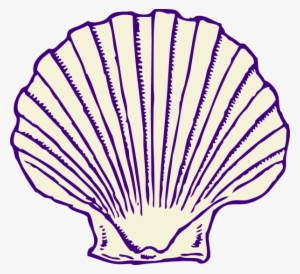 Small - Transparent Sea Shell Clip Art #1053231