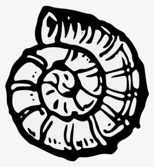 Details, Png - Whitby Abbey #1053332