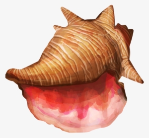Conch Shell Png High-quality Image - Art #1053477