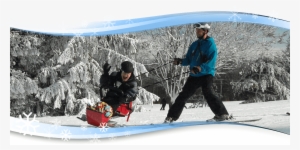 Sit-down Skiing - Skiing #1055062