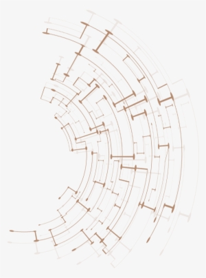 Qr Codes And Datamatrix Are Two-dimensional Matrix #1057041